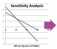 Sensitivity Analysis